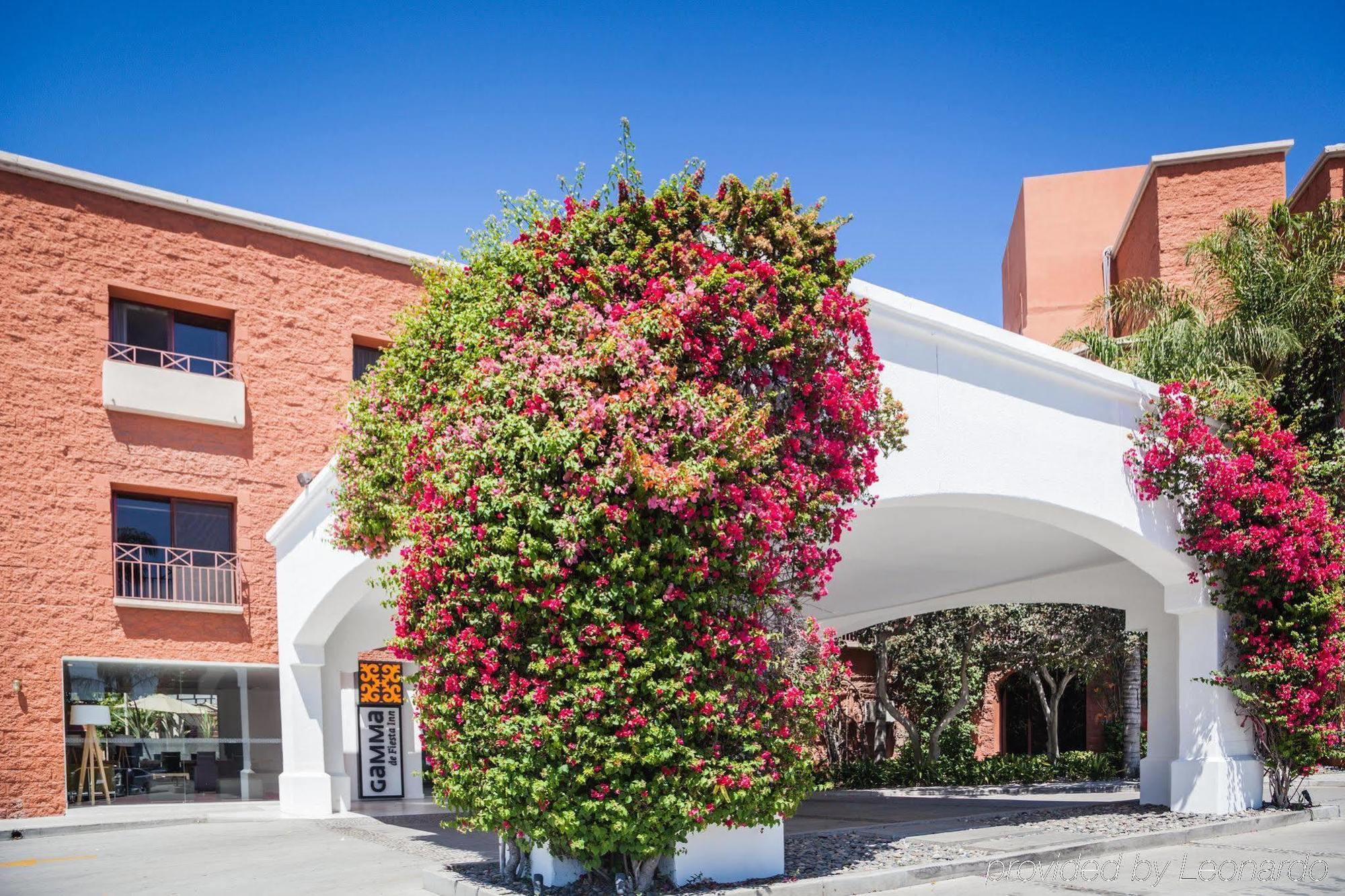 Gamma Tijuana Hotel Kültér fotó